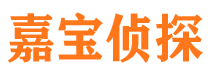 马关市调查公司